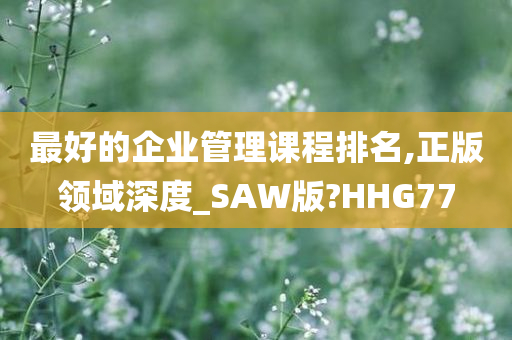 最好的企业管理课程排名,正版领域深度_SAW版?HHG77