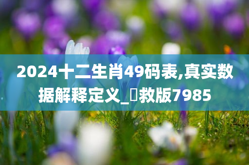 2024十二生肖49码表,真实数据解释定义_劻救版7985