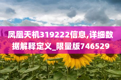 凤凰天机319222信息,详细数据解释定义_限量版746529