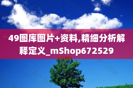 49图库图片+资料,精细分析解释定义_mShop672529