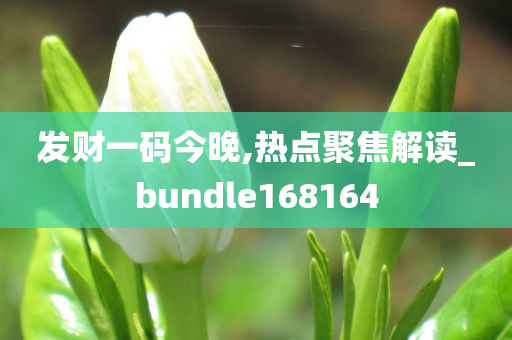 发财一码今晚,热点聚焦解读_bundle168164