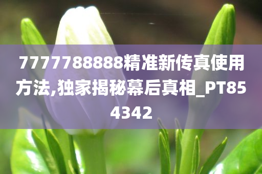 7777788888精准新传真使用方法,独家揭秘幕后真相_PT854342