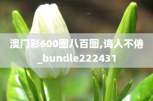 澳门彩600图八百图,诲人不倦_bundle222431