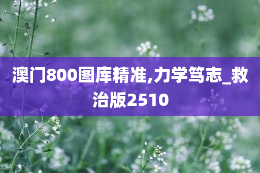 澳门800图库精准,力学笃志_救治版2510