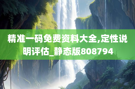 精准一码免费资料大全,定性说明评估_静态版808794