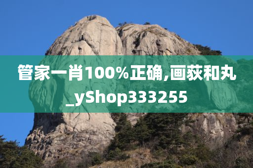 管家一肖100%正确,画荻和丸_yShop333255