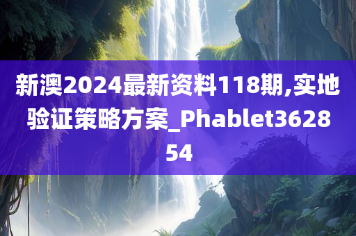 新澳2024最新资料118期,实地验证策略方案_Phablet362854