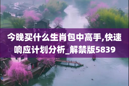 今晚买什么生肖包中高手,快速响应计划分析_解禁版5839