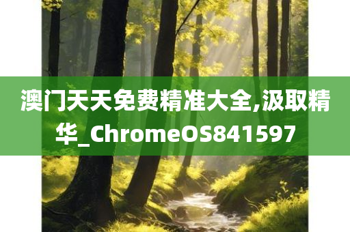 澳门天天免费精准大全,汲取精华_ChromeOS841597