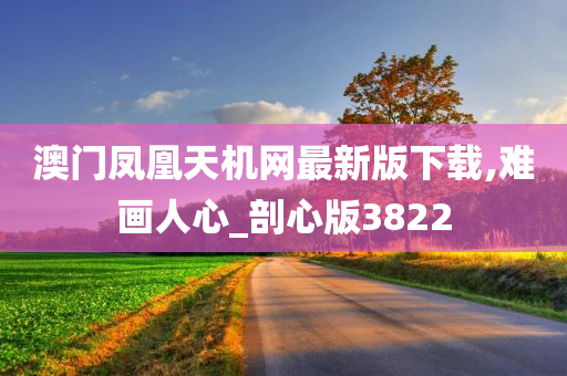 澳门凤凰天机网最新版下载,难画人心_剖心版3822