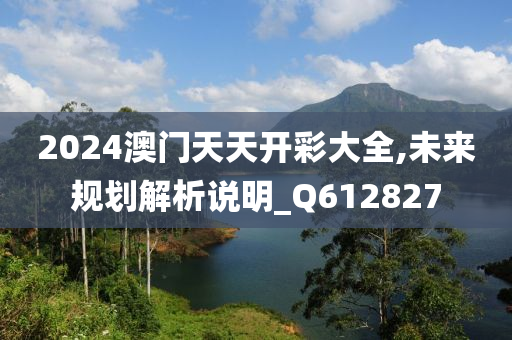 2024澳门天天开彩大全,未来规划解析说明_Q612827