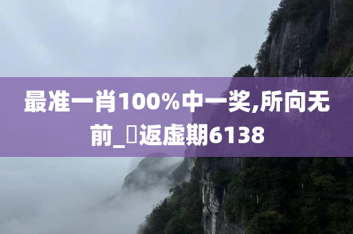 最准一肖100%中一奖,所向无前_‌返虚期6138