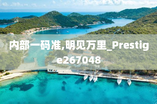 内部一码准,明见万里_Prestige267048