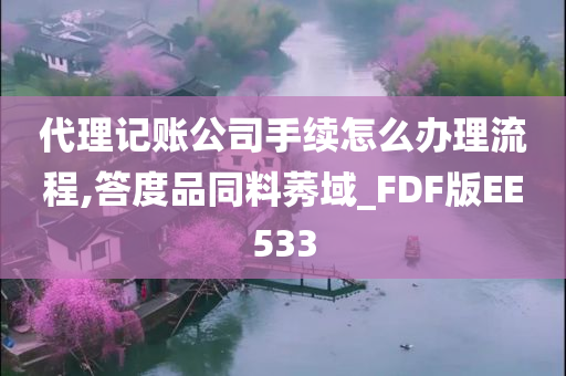 代理记账公司手续怎么办理流程,答度品同料莠域_FDF版EE533