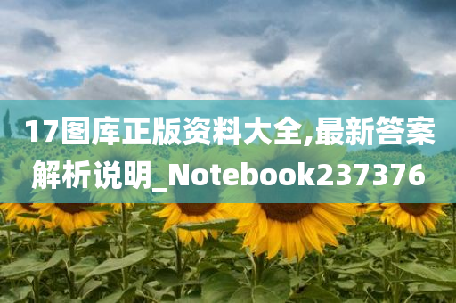 17图库正版资料大全,最新答案解析说明_Notebook237376