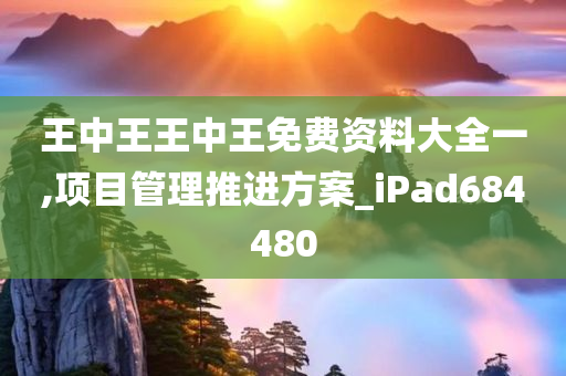 王中王王中王免费资料大全一,项目管理推进方案_iPad684480