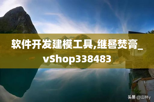 软件开发建模工具,继晷焚膏_vShop338483