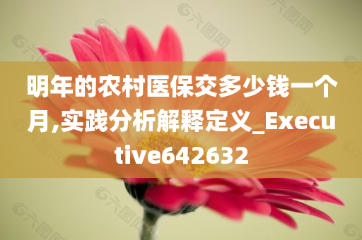 明年的农村医保交多少钱一个月,实践分析解释定义_Executive642632