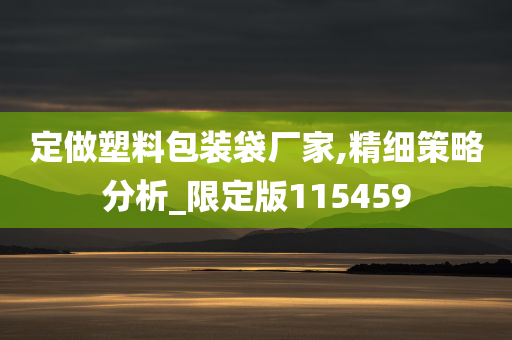 定做塑料包装袋厂家,精细策略分析_限定版115459