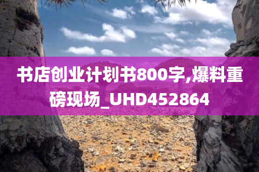 书店创业计划书800字,爆料重磅现场_UHD452864