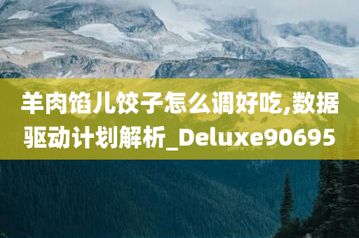 羊肉馅儿饺子怎么调好吃,数据驱动计划解析_Deluxe906950