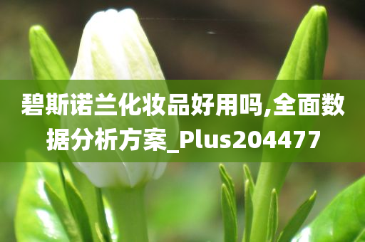 碧斯诺兰化妆品好用吗,全面数据分析方案_Plus204477