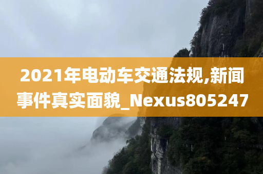 2021年电动车交通法规,新闻事件真实面貌_Nexus805247