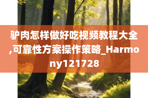 驴肉怎样做好吃视频教程大全,可靠性方案操作策略_Harmony121728