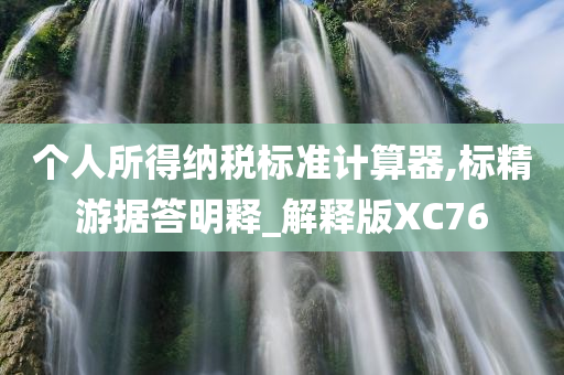 个人所得纳税标准计算器,标精游据答明释_解释版XC76