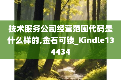 技术服务公司经营范围代码是什么样的,金石可镂_Kindle134434