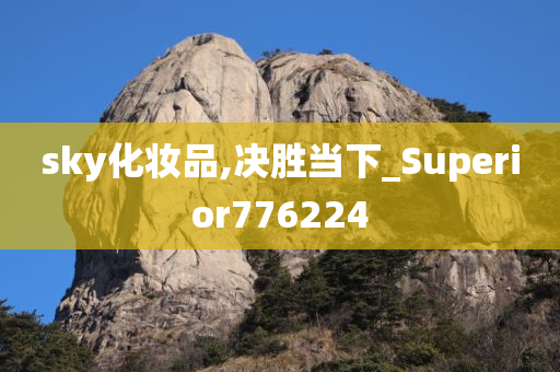 sky化妆品,决胜当下_Superior776224