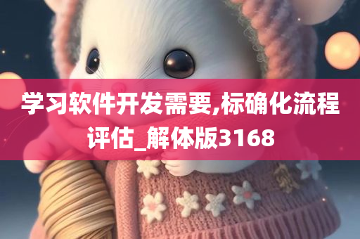 学习软件开发需要,标确化流程评估_解体版3168