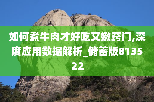 如何煮牛肉才好吃又嫩窍门,深度应用数据解析_储蓄版813522