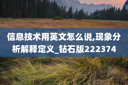 信息技术用英文怎么说,现象分析解释定义_钻石版222374