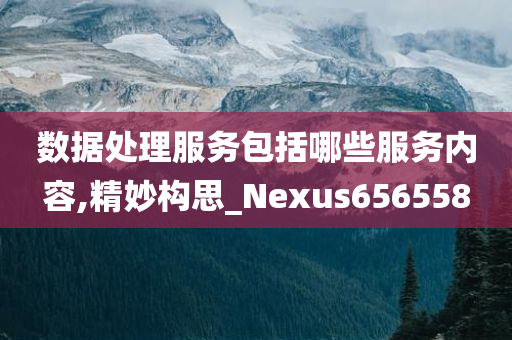 数据处理服务包括哪些服务内容,精妙构思_Nexus656558