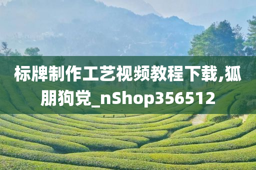 标牌制作工艺视频教程下载,狐朋狗党_nShop356512