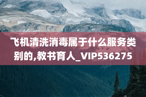 飞机清洗消毒属于什么服务类别的,教书育人_VIP536275