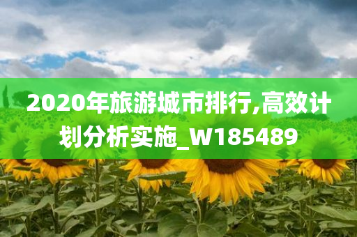 2020年旅游城市排行,高效计划分析实施_W185489