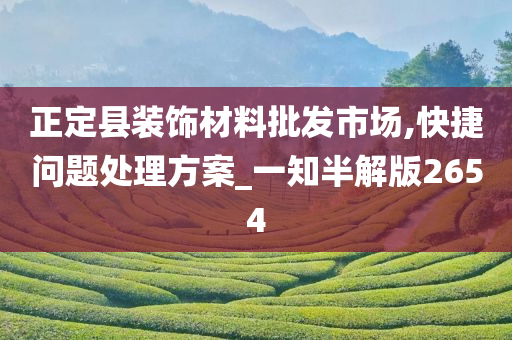 正定县装饰材料批发市场,快捷问题处理方案_一知半解版2654