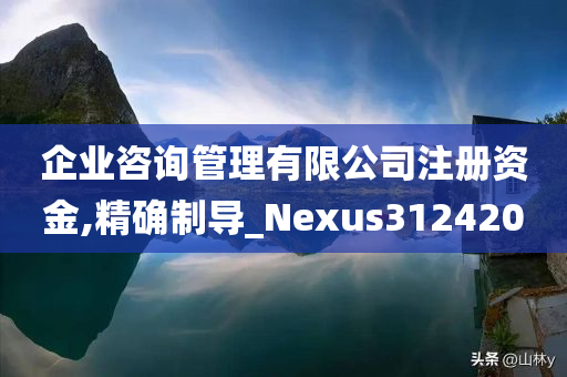 企业咨询管理有限公司注册资金,精确制导_Nexus312420