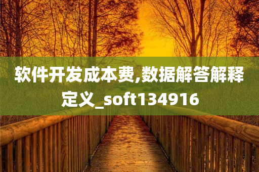 软件开发成本费,数据解答解释定义_soft134916