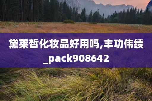 黛莱皙化妆品好用吗,丰功伟绩_pack908642