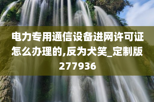 电力专用通信设备进网许可证怎么办理的,反为犬笑_定制版277936