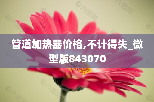 管道加热器价格,不计得失_微型版843070