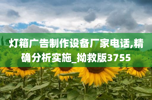 灯箱广告制作设备厂家电话,精确分析实施_拗救版3755