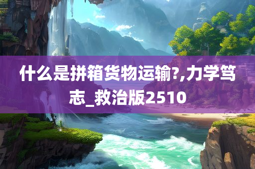 什么是拼箱货物运输?,力学笃志_救治版2510