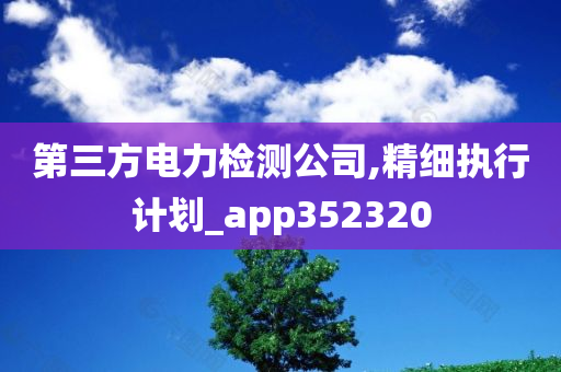 第三方电力检测公司,精细执行计划_app352320