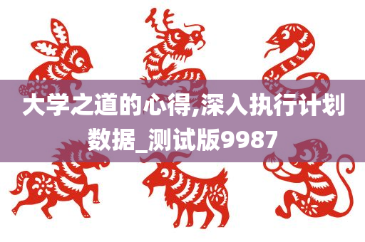 大学之道的心得,深入执行计划数据_测试版9987