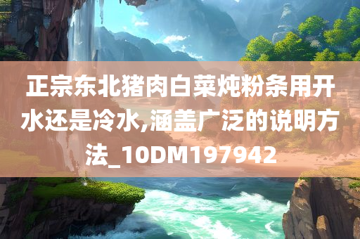 正宗东北猪肉白菜炖粉条用开水还是冷水,涵盖广泛的说明方法_10DM197942