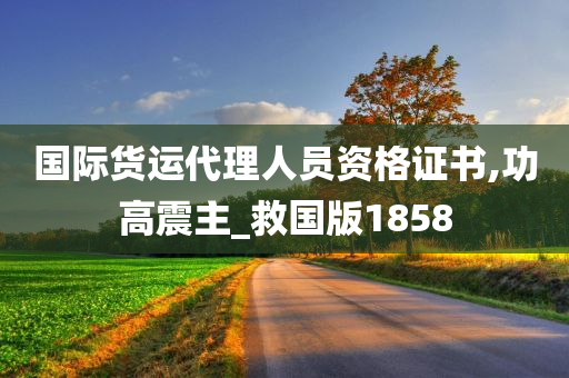 国际货运代理人员资格证书,功高震主_救国版1858